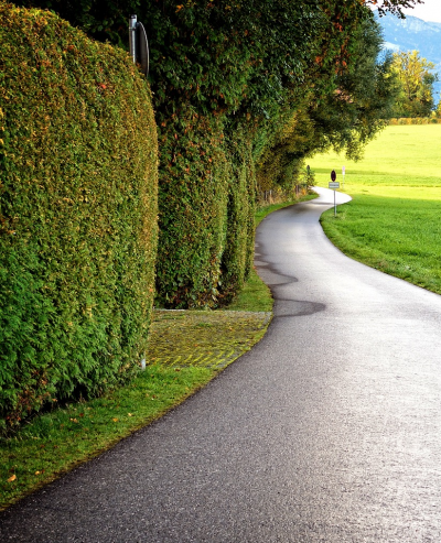 The Benefits of Having Hedges Instead of Walls in the UK